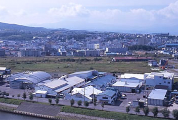 ????井原水産「カズチー」